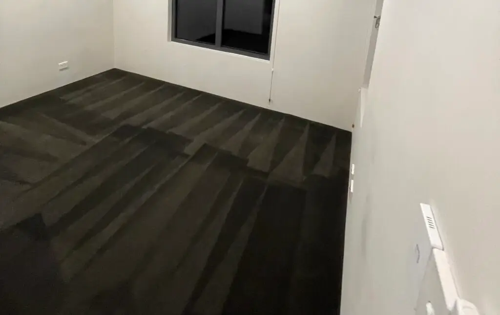 Clean carpet after steam cleaning in Sydney
