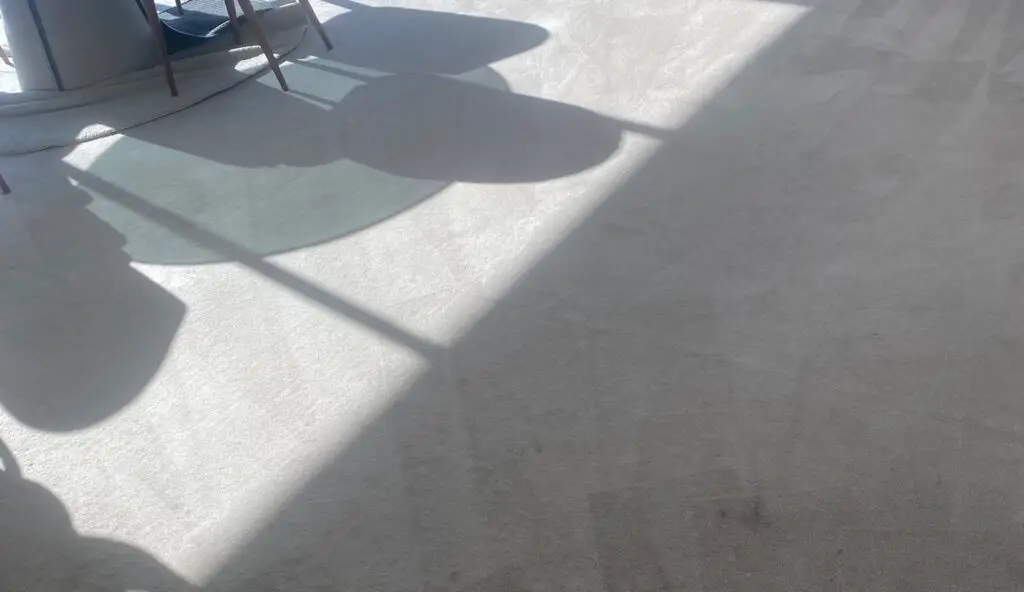Cleaned carpet condition after carpet steam cleaning in Sydney