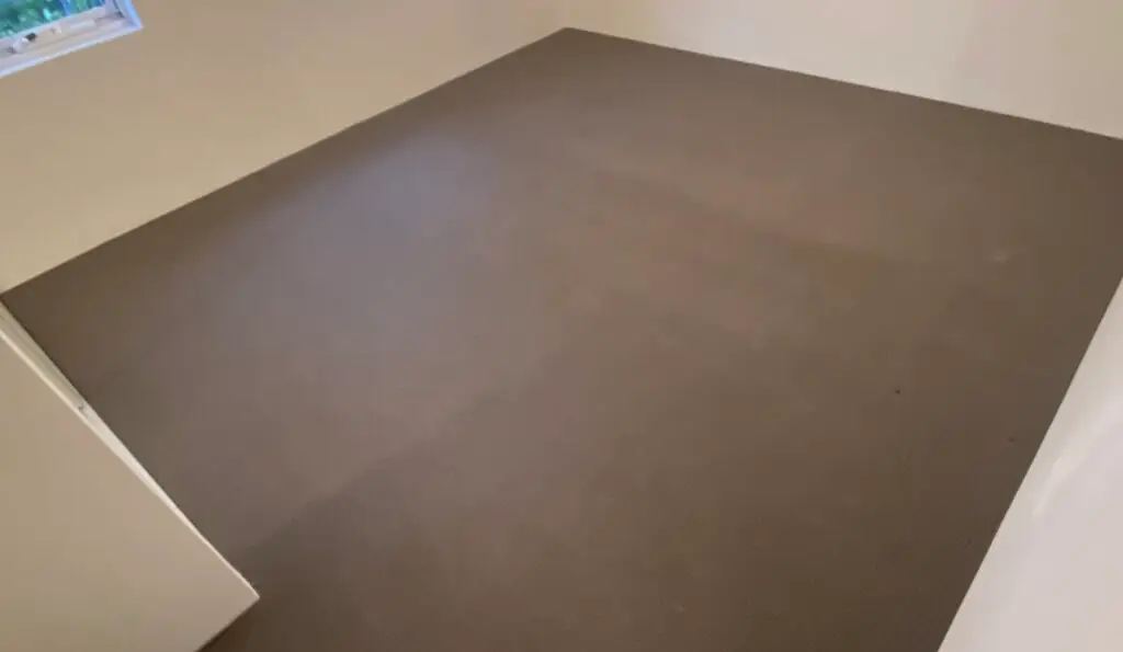 Dirty Carpets before end of lease cleaning in Sydney