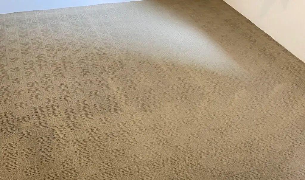 carpet condition after carpet steam cleaning Sydney